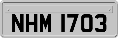 NHM1703