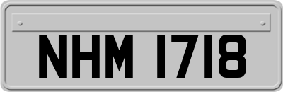 NHM1718