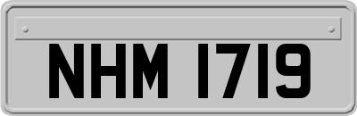 NHM1719