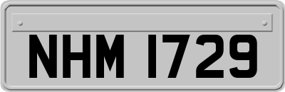 NHM1729