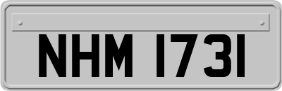 NHM1731