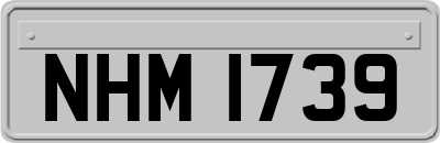 NHM1739