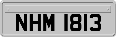 NHM1813