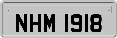 NHM1918
