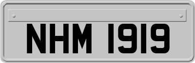 NHM1919