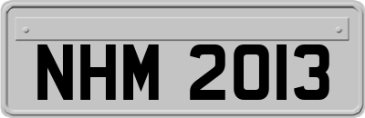 NHM2013