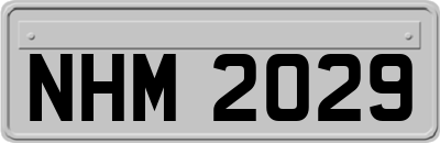 NHM2029
