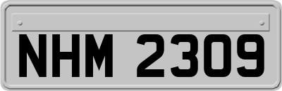 NHM2309