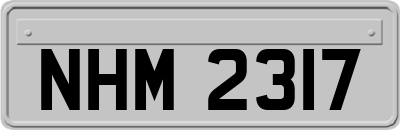 NHM2317