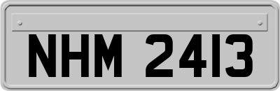 NHM2413