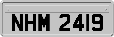 NHM2419