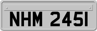 NHM2451