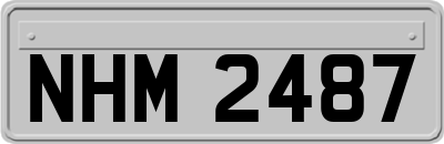 NHM2487