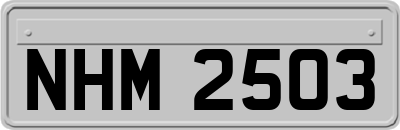 NHM2503