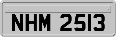 NHM2513