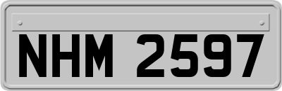 NHM2597