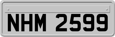 NHM2599