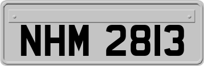 NHM2813