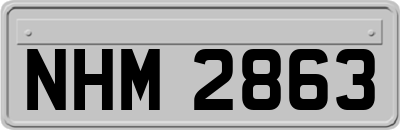 NHM2863
