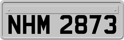 NHM2873