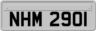 NHM2901