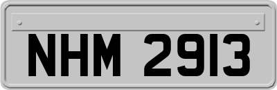 NHM2913