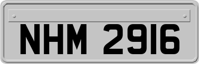 NHM2916