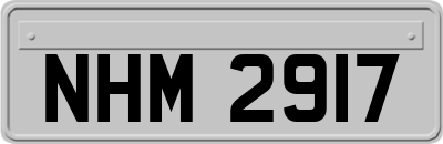 NHM2917