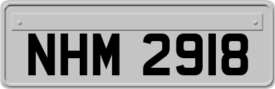 NHM2918
