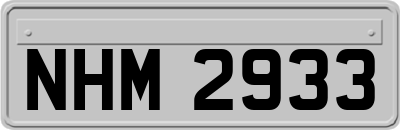 NHM2933