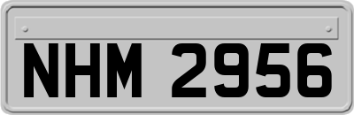 NHM2956
