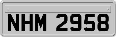 NHM2958