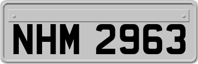 NHM2963