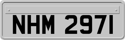 NHM2971