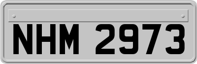 NHM2973