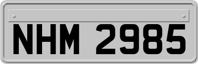 NHM2985