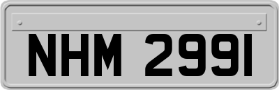 NHM2991
