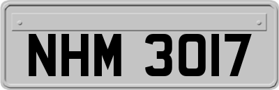 NHM3017