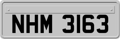 NHM3163