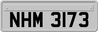 NHM3173