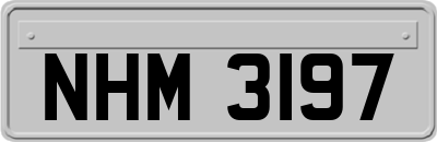 NHM3197