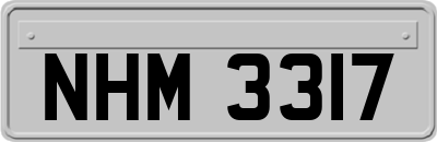 NHM3317