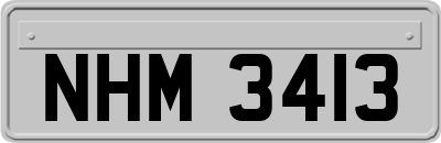 NHM3413