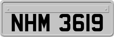 NHM3619