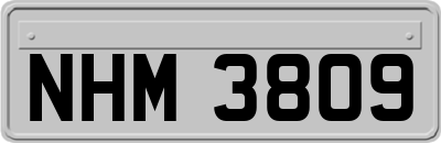 NHM3809