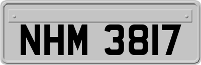 NHM3817