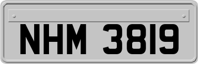 NHM3819