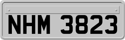 NHM3823