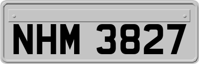 NHM3827