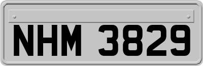 NHM3829